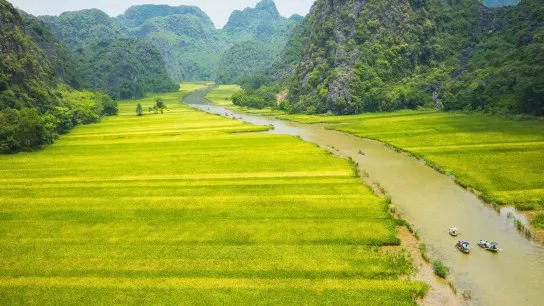 Observe Lovely Sights Of The Paddy Fields