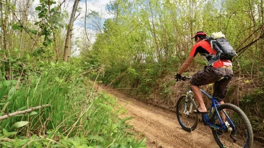 Cycle Through The Peaceful Countryside