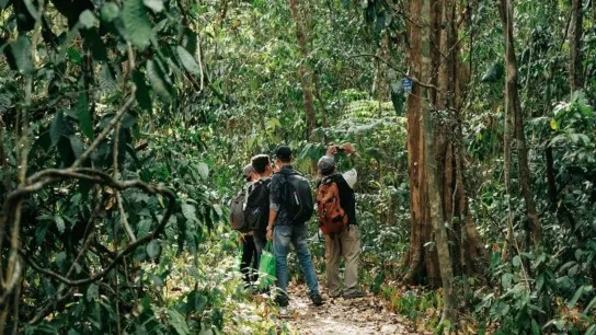 Admire Rare And Ancient Tree Varieties