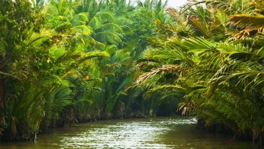 See The Mekong Delta's Breathtaking Natural Beauty
