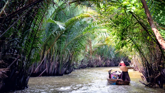 Excursión ecológica al Mekong en la isla de Tan Phong: día completo en bicicleta