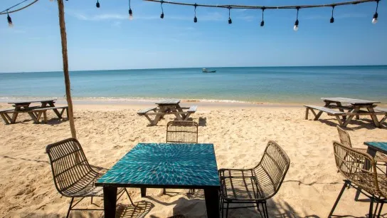Feel The Wild Natural Beauty And Tranquil Air At Rory's Beach Bar