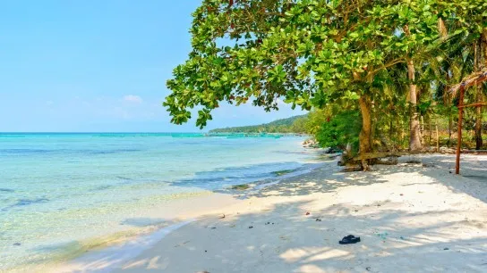 Rach Vem Village Is Blessed By Nature With Beautiful Beaches And Rich Seafood Resources