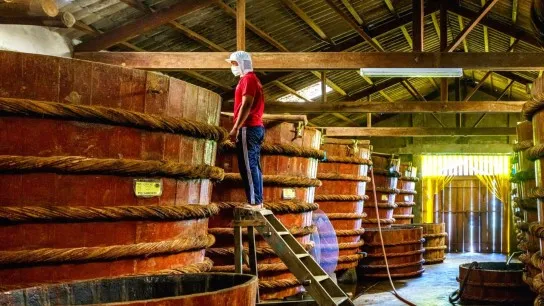 Traditional Fish Sauce Factory In Phu Quoc