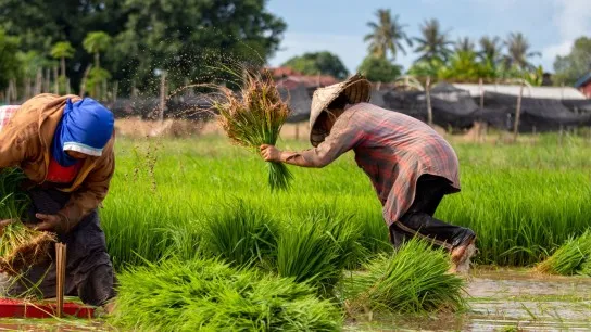 Immerse Yourself In The Daily Life Of Nha Trang Residents
