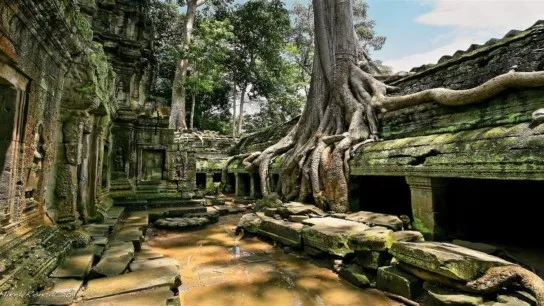 Mix Charm Of Nature And Worship