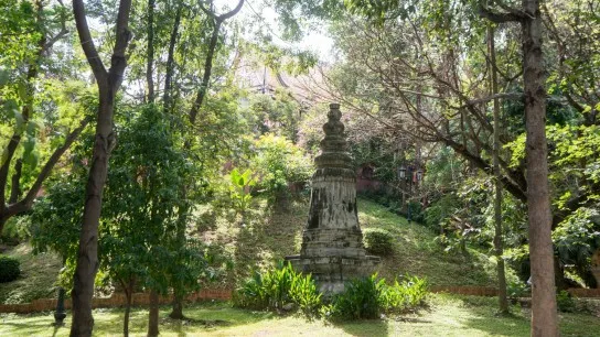 Scent Of Nature At Phnom Tamao