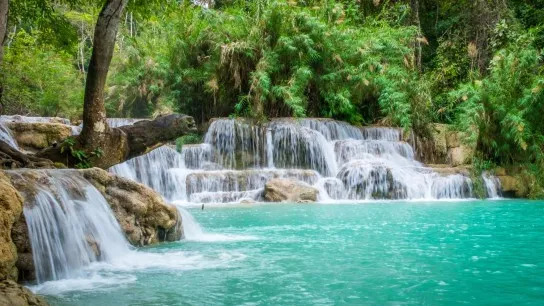 Day 3 Admire The Gorgeous Kuang Si Waterfall