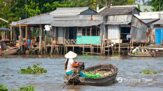 Day 11 Admire The Serene Beauty Of Mekong Delta