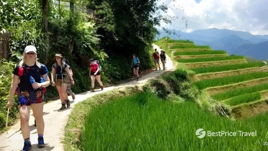 Day 3 The Trekking Path In Sapa