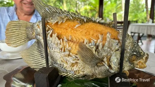 Day 8 Have The Chance To Try The Yummy Elephant Earfish