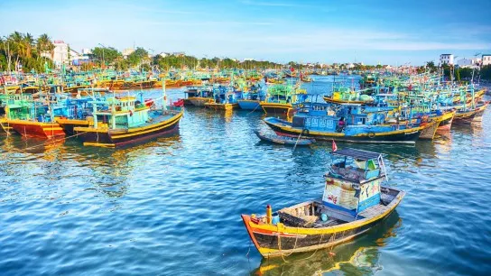 Day 4 Witness The Daily Life Of Locals In Phan Thiet