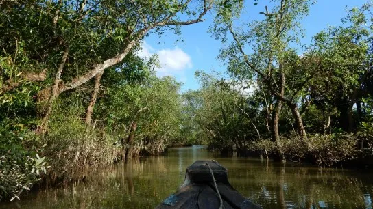 Day 3 Take A Small Rowboat Trip To Tan Phong Islet