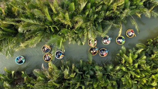 Admire The Coconut Groves While Cruising