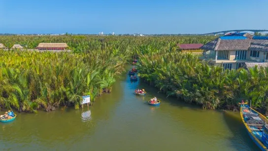 The Stunning Scenery Of Cam Thanh's Lush Palm Forest