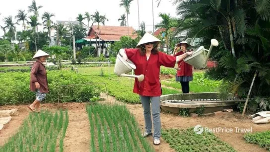 Day 7 Experience Being A Gardener In Tra Que Village