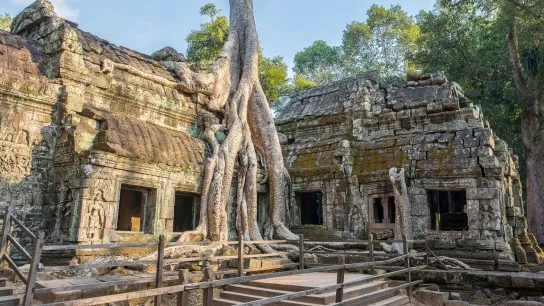 Day 2 Witness The Giant Tree Roots At Ta Prohm