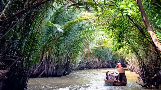 Day 3 Get On The Boat To Visit Mekong Delta