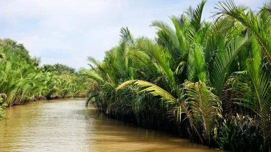 Day 2 The Tranquility Scene Of Mekong Delta