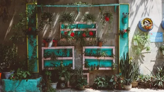 Day 7 Captivate The Rustic Beauty Of Hanoi Old Quarter