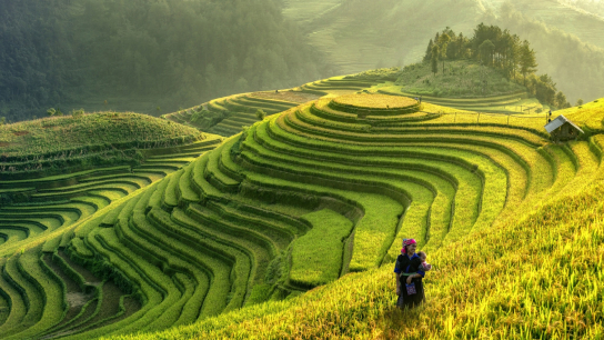Noroeste de Vietnam: 11 días de cultura y naturaleza deslumbrante