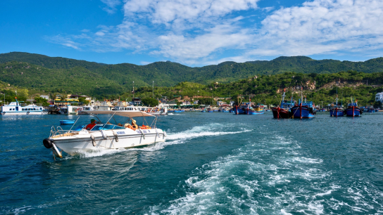 Southern Beauty & Beach Relaxation 8 days