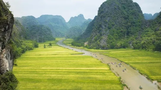 Day 6 Golden Ricefield Along The Bank Of Ngo Dong River