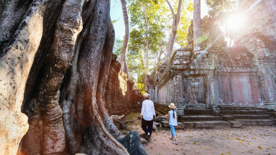 Family Trip with Angkor Discover 5 days