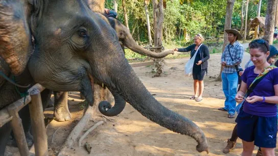 Luang Prabang Insight 7 Days
