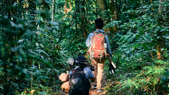 Aventura en el noreste de Laos de 15 días