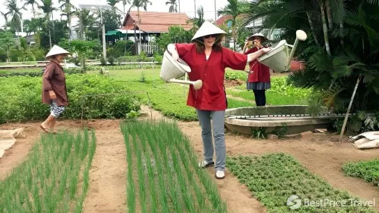 Day 5 Tourists Experiencing Daily Farm Life In Cam Thanh Village