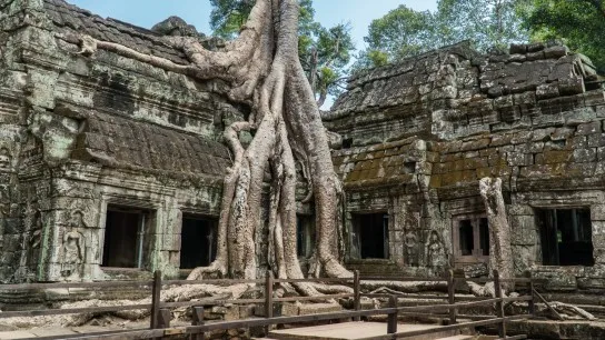 Day 5 Journey Through The Mysterious Ta Prohm