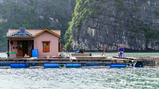 Day 14 Visit The Charming Fishing Villages In The Middle Of Halong Bay