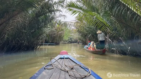 Day 14 Journey Through Vibrant Mangrove Canals By Sampan