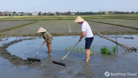 Day 3 Experience The Local Life In Cam Thanh Village