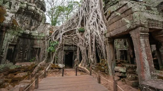 Day 8 Immerse In The Mystical Charm Of Ta Prohm