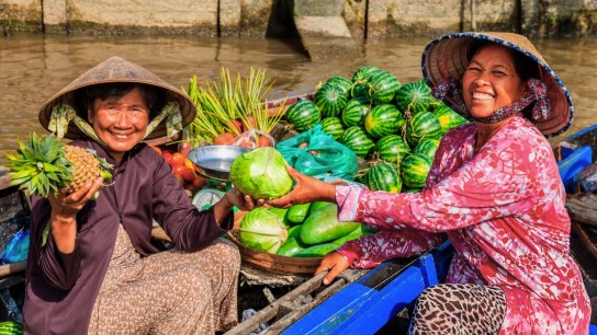 Saigon and Mekong Delta on Bassac Cruise 6 days