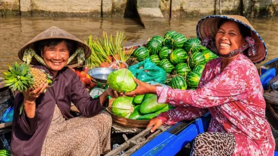 Saigon And Mekong Delta On Bassac Cruise 6 Days