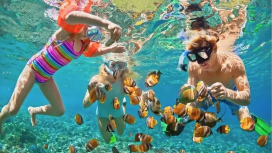 Day 2 Explore Vibrant Underwater Life While Snorkeling At Coral Island