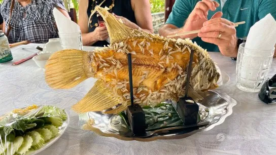 Enjoy The Authentic Taste Of Elephant Fish