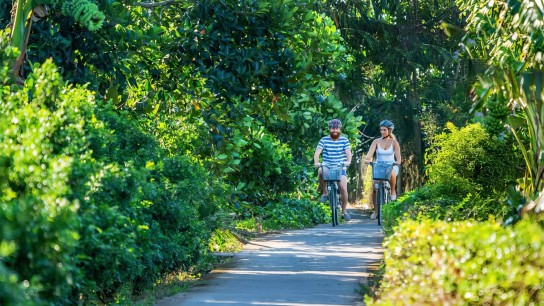 Mekong Countryside & Culture by Bike 3 days