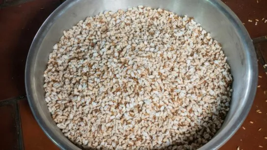Day 1 Enjoy The Crispy Delight Of Pop Rice