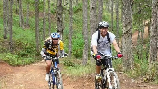 Day 1 Pedal Through The Serene Pine Forests Of Da Lat