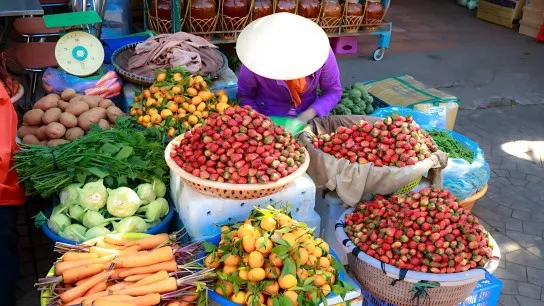 Day 11 Explore Dong Ba Market Hue's Oldest And Largest Market