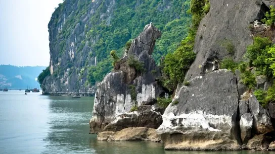 Day 5 Spot The Naturally Shaped Dog Rock