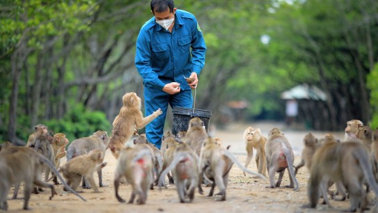 Vietnam Family Wildlife Adventure 12 days