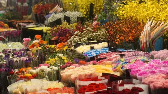 Day 1 Stroll Through The Vibrant Colors Of The Flower Market