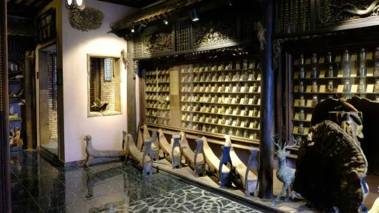 Day 10 Discover Ancient Healing Wisdom At The Museum Of Traditional Medicine
