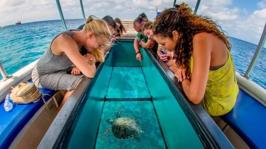 Day 11 Enjoy A Glass Bottom Boat Ride To See Coral Reefs And Snorkel At Ba Dien Beach