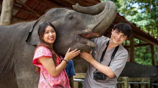 Dragon & Elephant Capitals: Southeast Asian Odyssey 10 days